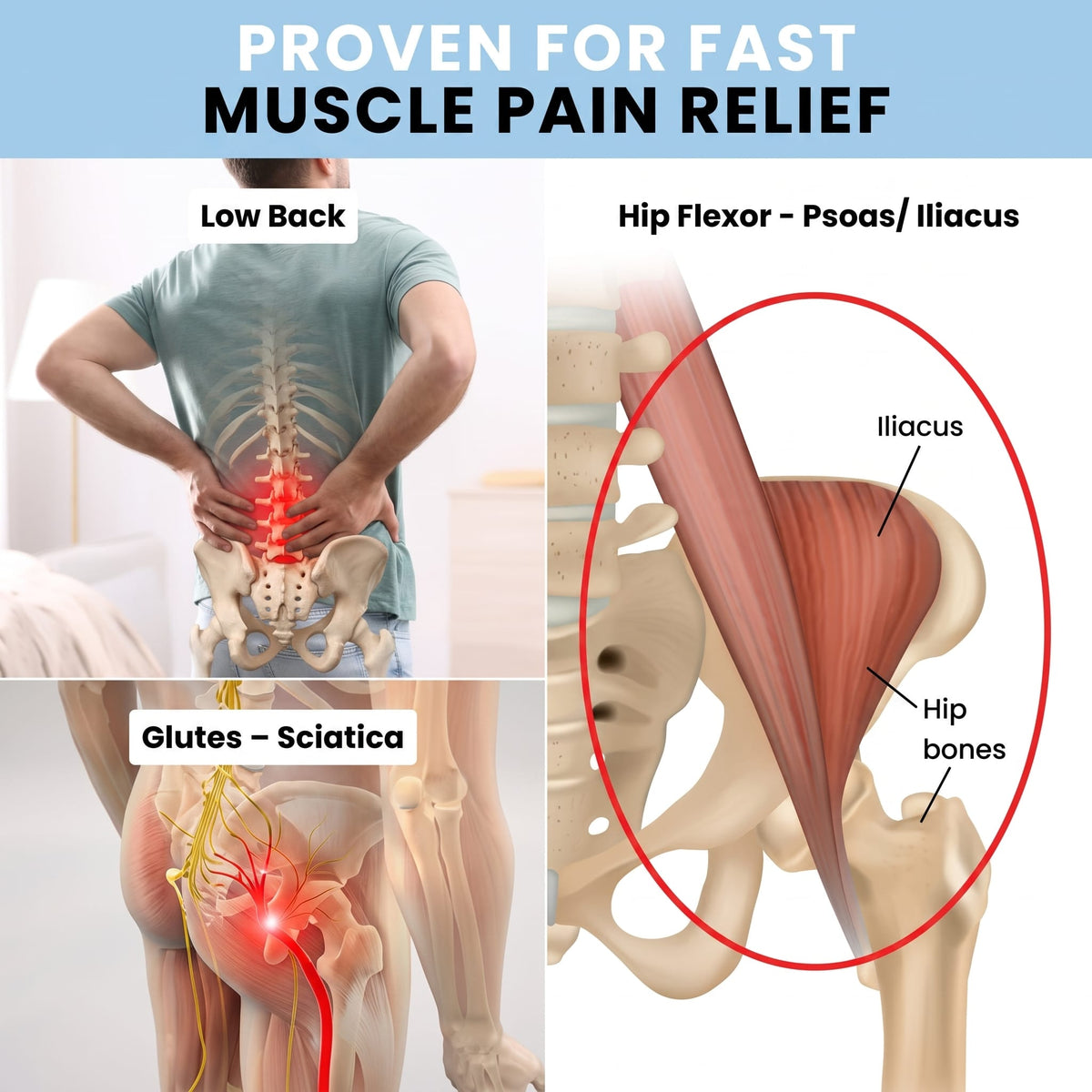 Infographic highlighting the lower back, glutes, sciatic nerve, psoas, and iliacus