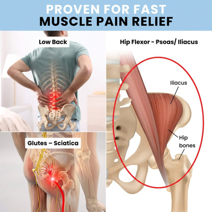 Infographic highlighting the lower back, glutes, sciatic nerve, psoas, and iliacus