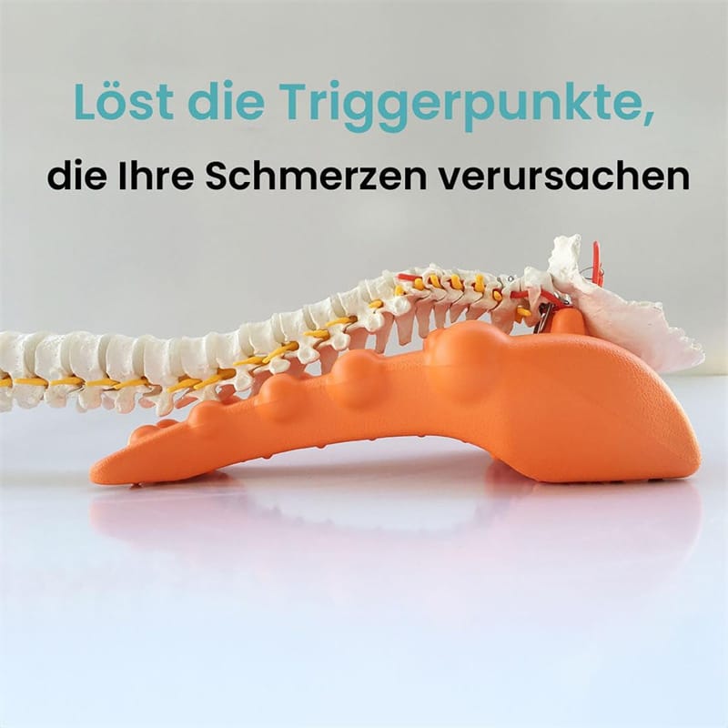 Orange trigger point massager positioned beneath a spine model